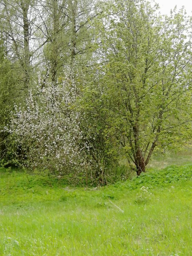Villa Lind B&B Ingatorp Buitenkant foto